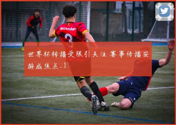 世界杯转播受限引关注 赛事传播安排成焦点_1