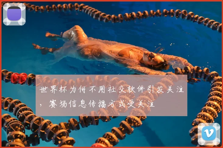 世界杯为何不用社交软件引发关注，赛场信息传播方式受关注