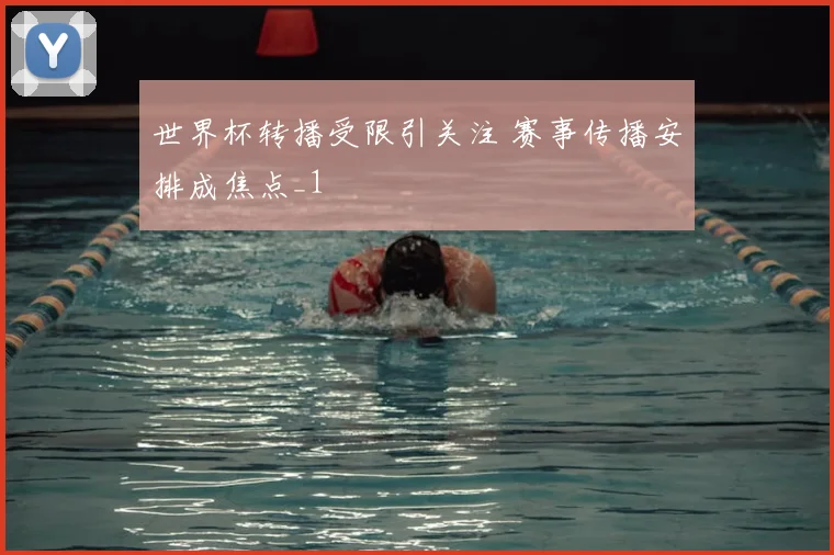 世界杯转播受限引关注 赛事传播安排成焦点_1