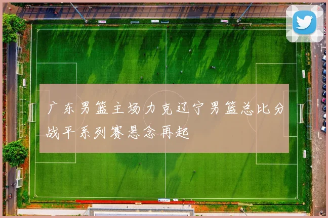 广东男篮主场力克辽宁男篮总比分战平系列赛悬念再起